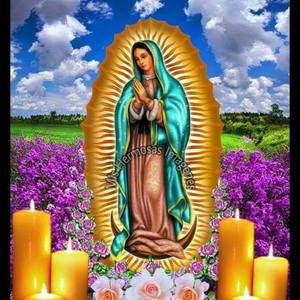 Meet your Posher, Rogelia